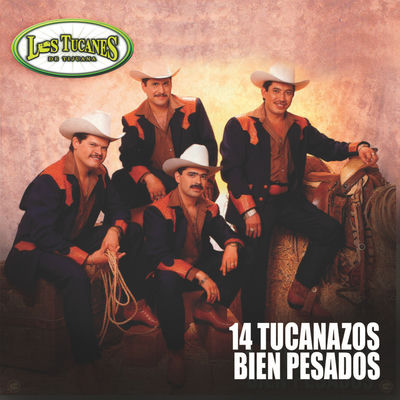 The cover of 14 Tucanazos bien pesados by Los Tucanes de Tijuana