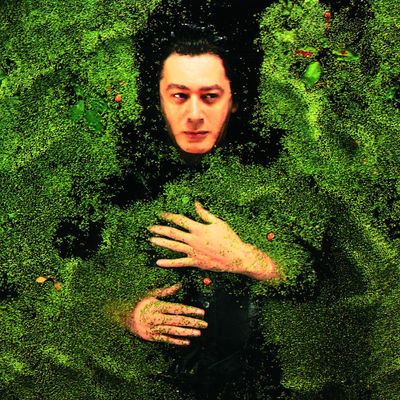 The cover of Fantaisie militaire by Alain Bashung