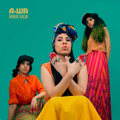 Cover von „Habib Galbi“ von A-WA