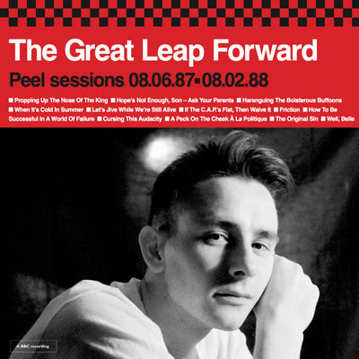 Cover von „Peel Sessions 87-88“ von The Great Leap Forward