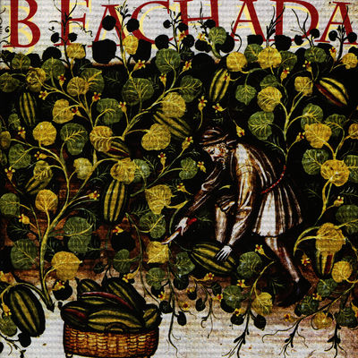 The cover of B Fachada by B Fachada