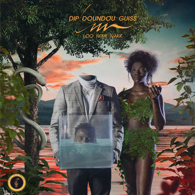 Cover von „LNN (Loo Ñeme Ñàkk)“ von Dip Doundou Guiss