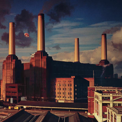The cover of Animals by Pink Floyd