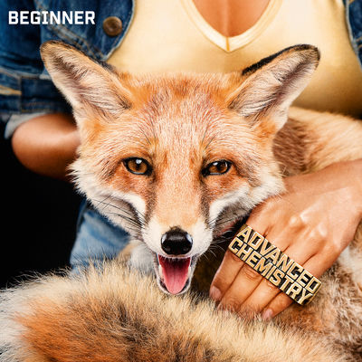 The cover of Advanced Chemistry by Beginner