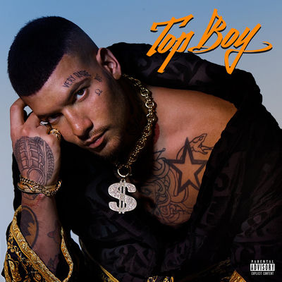 The cover of Topboy by Snik