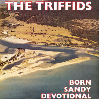 The cover of Born Sandy Devotional by The Triffids