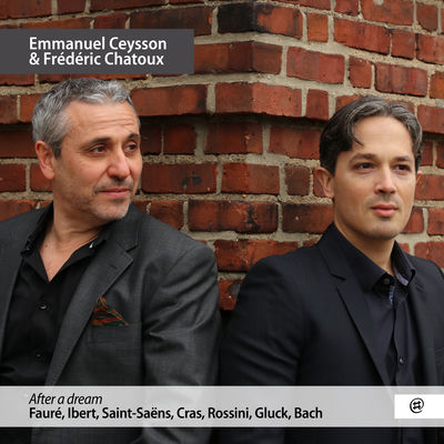 The cover of After a Dream by Emmanuel Ceysson