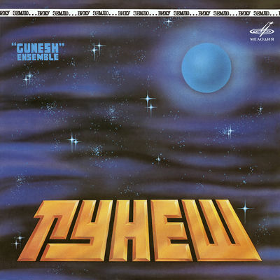 Cover von „Looking at the Earth“ von Gunesh