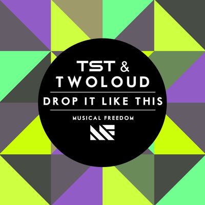 The cover of Drop It Like This by TST
