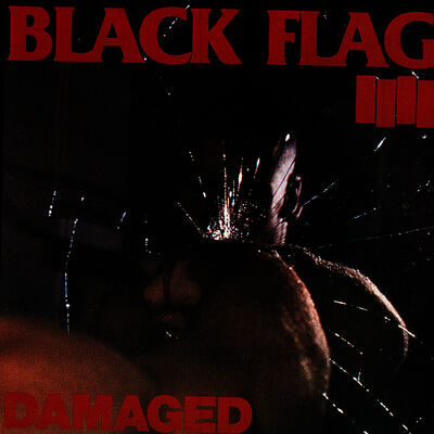 The cover of Damaged by Black Flag