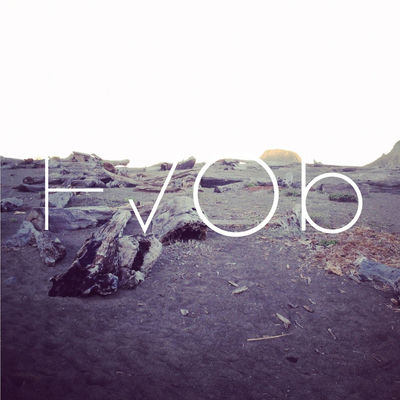 The cover of HVOB by HVOB