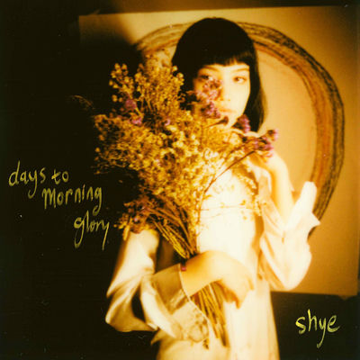 Cover von „days to morning glory“ von Shye