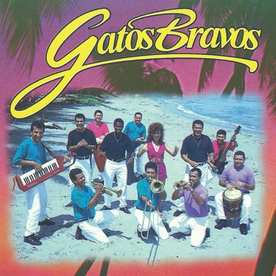 The cover of 25 años de música by Los Gatos Bravos