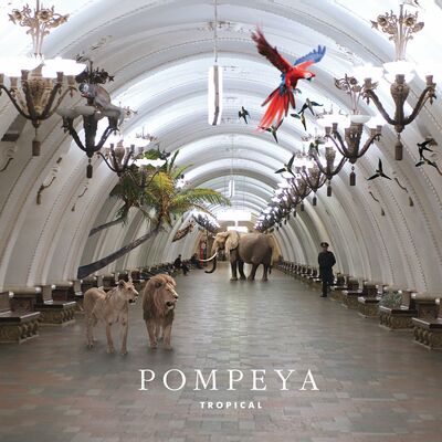 The cover of Tropical by Pompeya