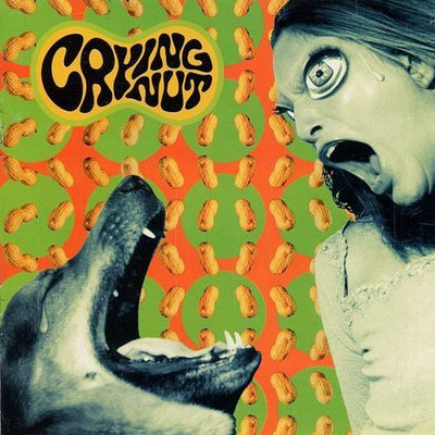 Cover von „Speed Up Losers“ von Crying Nut