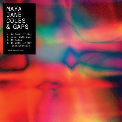 The cover of In Dark, In Day by Maya Jane Coles