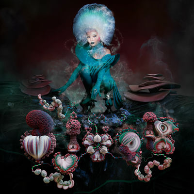 The cover of Fossora by Björk