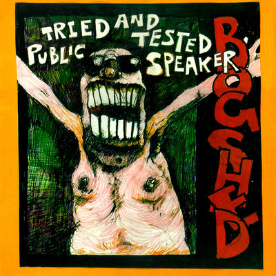 The cover of Tried & Tested Public Speaker (John Peel Sessions) by Bog Shed