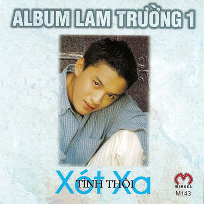 Cover von „Tình Thôi Xót Xa“ von Lam Trường