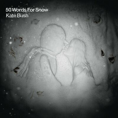 The cover of 50 Words for Snow by Kate Bush
