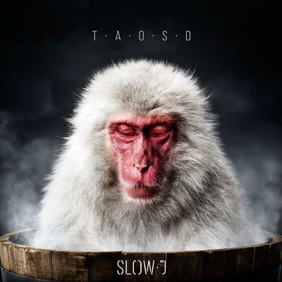 The cover of The Art of Slowing Down by Slow J