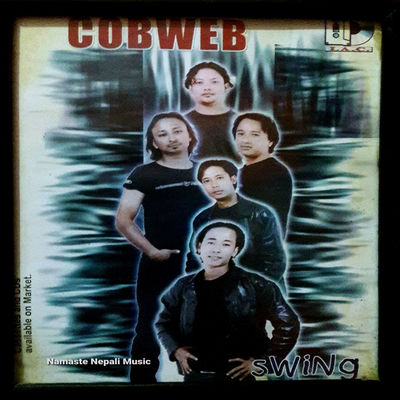 The cover of Swing by Cobweb