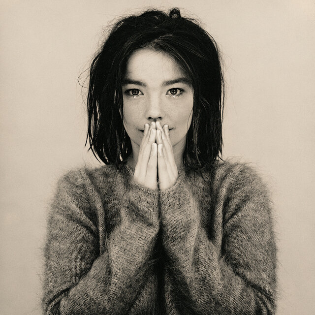 The cover of Debut by Björk