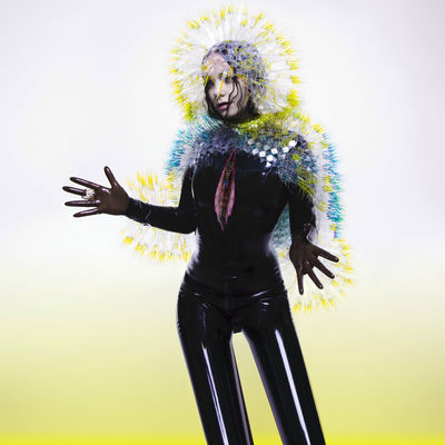 The cover of Vulnicura by Björk