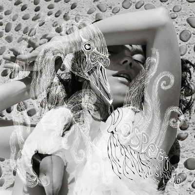 The cover of Vespertine by Björk