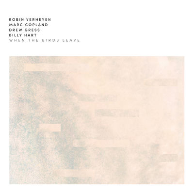 Cover von „When the Birds Leave“ von Robin Verheyen