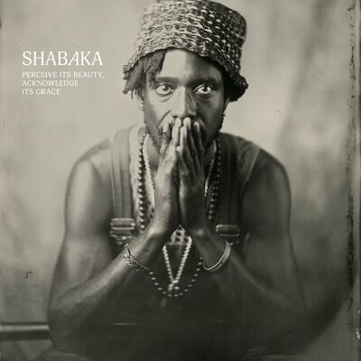 The cover of Perceive Its Beauty, Acknowledge Its Grace by Shabaka