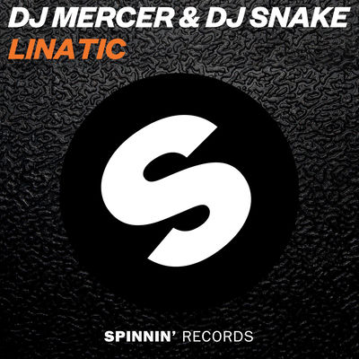 The cover of Lunatic by Dj Mercer