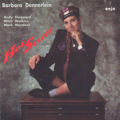 The cover of Hot Stuff by Barbara Dennerlein