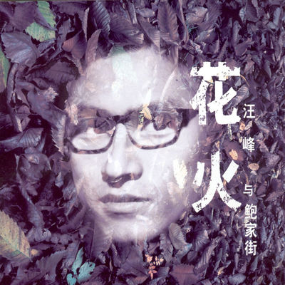 Cover von „Fireworks“ von Wang Feng