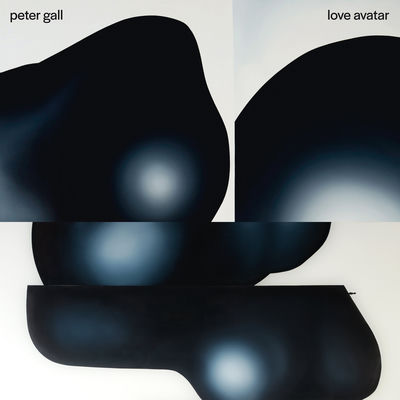 Cover von „Love Avatar“ von Peter Gall