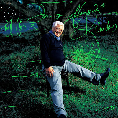 Cover von „In a Flash“ von Kimbo Hu