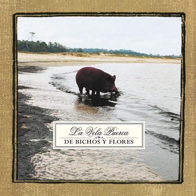 The cover of De bichos y flores by La Vela Puerca