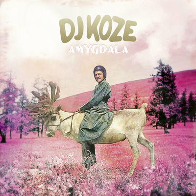 The cover of Amygdala by DJ Koze