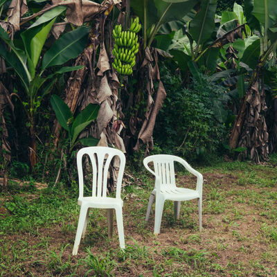 The cover of Debí Tirar Más Fotos by Bad Bunny