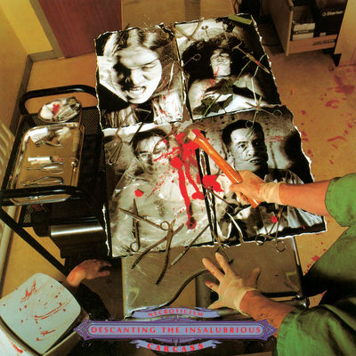 Cover von „Necroticism – Descanting the Insalubrious“ von Carcass