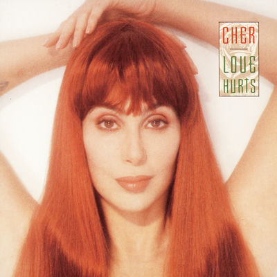 The cover of Love Hurts by Cher