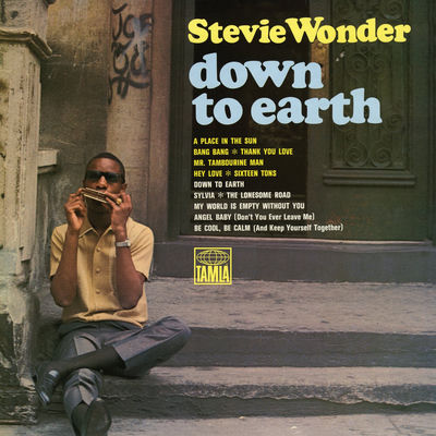 The cover of Down to Earth by Stevie Wonder