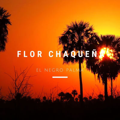 Cover von „Flor Chaqueña“ von El Negro Palma