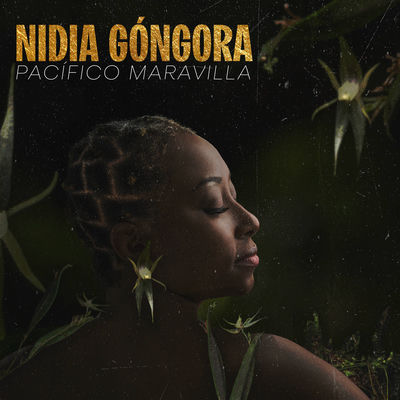 The cover of Pacífico Maravilla by Nidia Góngora