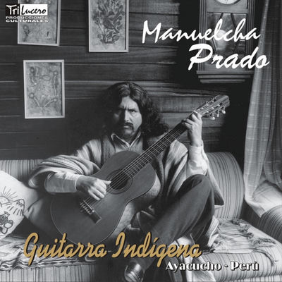 The cover of Guitarra indígena by Manuelcha Prado