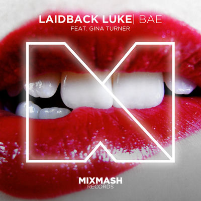 The cover of Bae by Laidback Luke