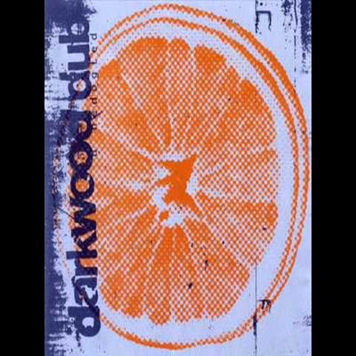 Cover von „U nedogled“ von Darkwood Dub