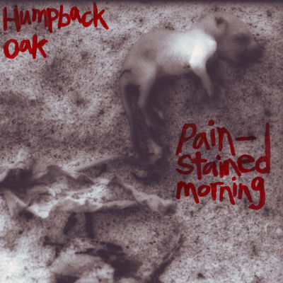 The cover of Pain-stained Morning by Humpback Oak