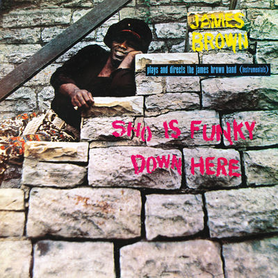 The cover of Sho Is Funky Down Here by James Brown