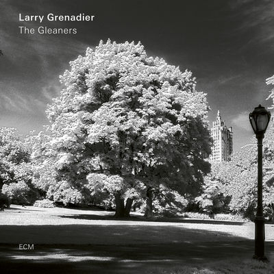 The cover of The Gleaners by Larry Grenadier